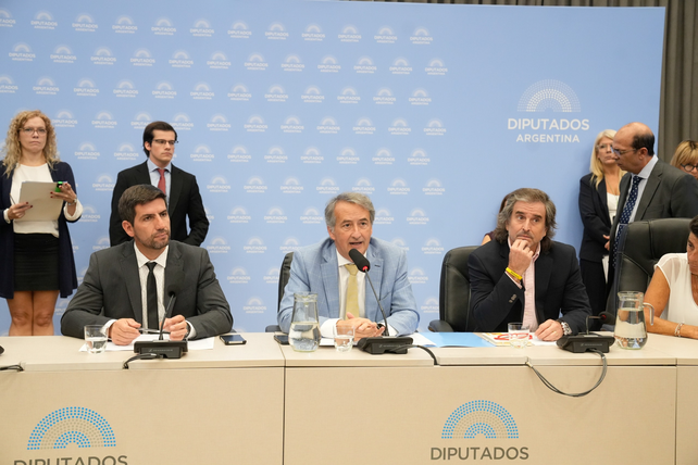 El plenario de comisiones que debatió sobre la solicitud de informes a distintos miembros del Poder Ejecutivo.