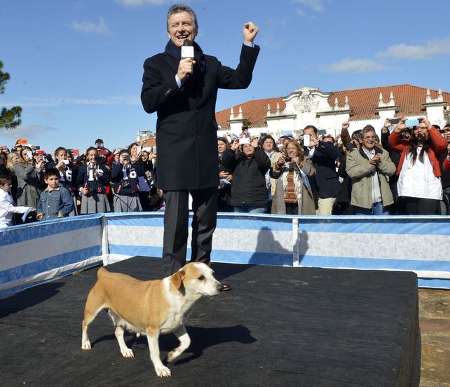 Discurso con perro. Macri