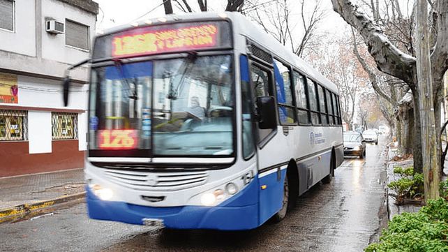 Sorpresa. El ladrón se llevó billeteras