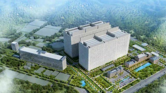 China: así son las granjas verticales para criar cerdos