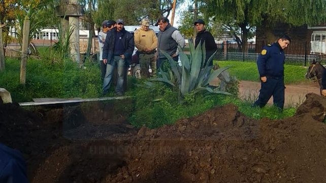Una yegua se cayó en un pozo y debieron rescatarla con una retroexcavadora