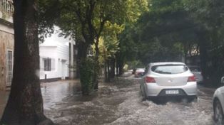 Calles anegadas, ramas caídas y cables cortados por la intensa lluvia en Rosario