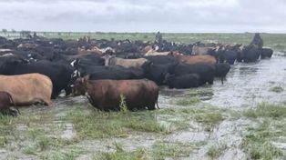 Anegamientos: productores del norte de Santa Fe reclaman obras y previsión ante El Niño y la crecida del Paraná.