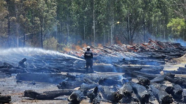 Los incendios en el monte de Celulosa tuvo en jaque a bomberos voluntarios de Capitán Bermúdez y de otras localidades que acudieron en colaboración.