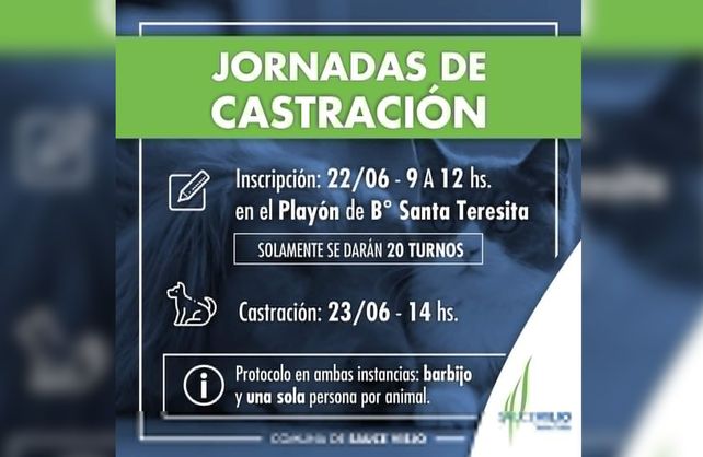 Imagen ilustrativa