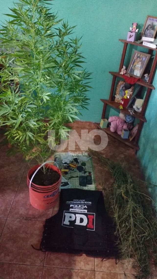 Desbarataron una banda que comerciaba cocaína y marihuana en el departamento de Vera