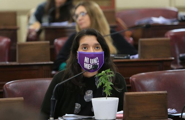 Diputados dio media sanción al autocultivo de cannabis con una planta de marihuana en la sala