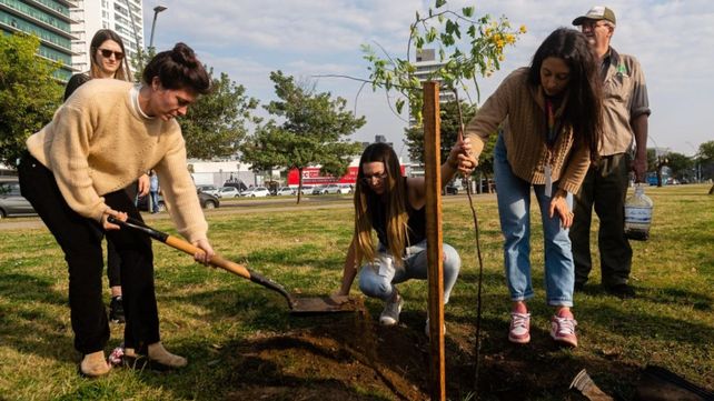Lo árboles fueron plantados en distintos espacios verdes de la ciudad.&nbsp;