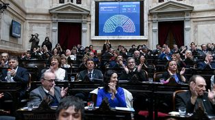 La oposición busca revertir en Diputados los vetos de Milei sobre financiamiento universitario y pediatría