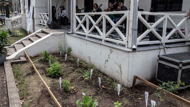 La huerta sembrada en la entrada del Museo de la Ciudad es un acción tendiente a empatizar con un mundo sustentable.