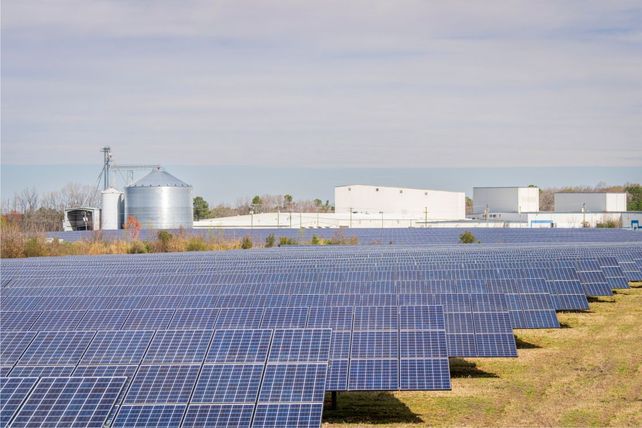 La energía renovable impulsa nuevos negocios e inversiones.