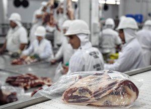 Argentina rompió récords históricos en exportaciones de carne vacuna