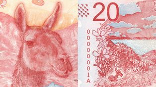 Cambian a Rosas por un guanaco en el billete de veinte pesos