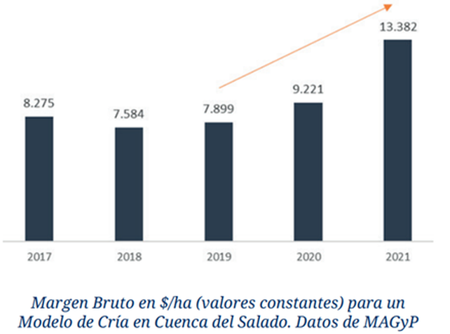 Nuevo esquema exportador de carne: un cepo directo al productor