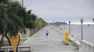 ¿Qué cuenta el pronóstico para este domingo?