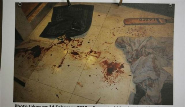 Inéditas y sangrientas fotos del caso Pistorius