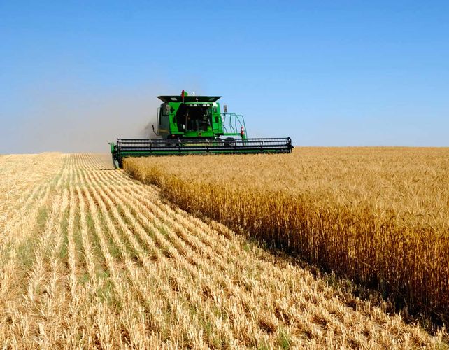 Las ventas externas de Santa Fe cayeron 1,8% en el año