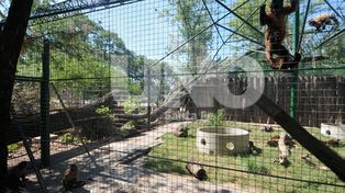Terminarán las obras en la Granja La Esmeralda