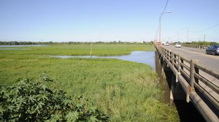 Salado: el pico de crecida llegará esta semana y se mantendría en niveles altos