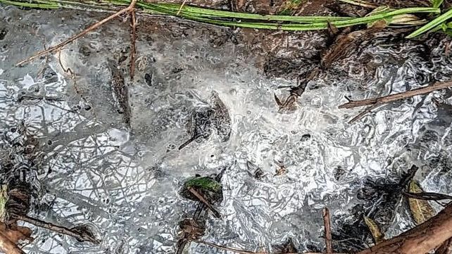 Allanaron el parque industrial de Chajarí por contaminación de un arroyo