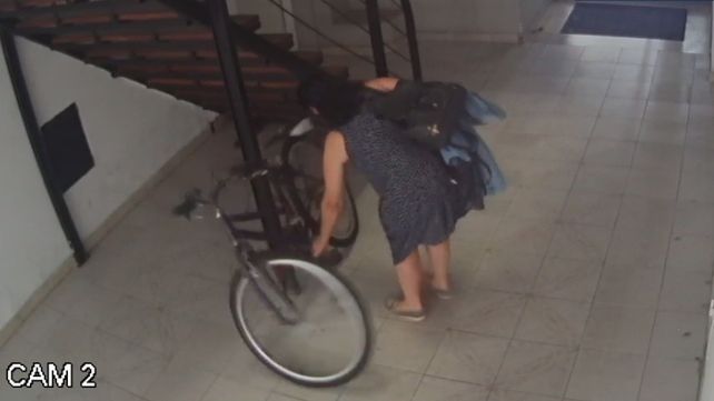 Video: cansados de los daños, vecinos denunciaron a una agresora de bicicletas