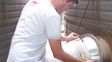 Los secretos de la poscosecha: pautas de manejo para preservar la calidad de los granos