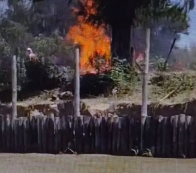 El incendio generó preocupación porque las llamas avanzaron sobre una zona poblada.