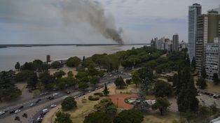 Una oscura columna de humo emergió este jueves desde las islas ubicadas frente a la ciudad de Rosario.