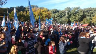 En la ciudad se hizo una nueva Marcha por la Vida