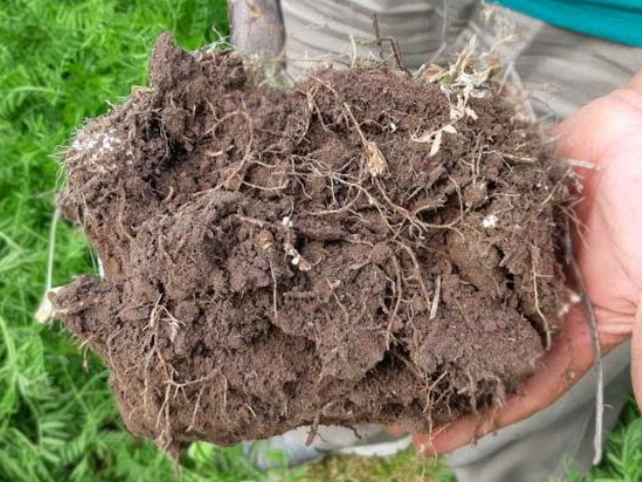 Preocupa el aumento de superficie labrada en Argentina