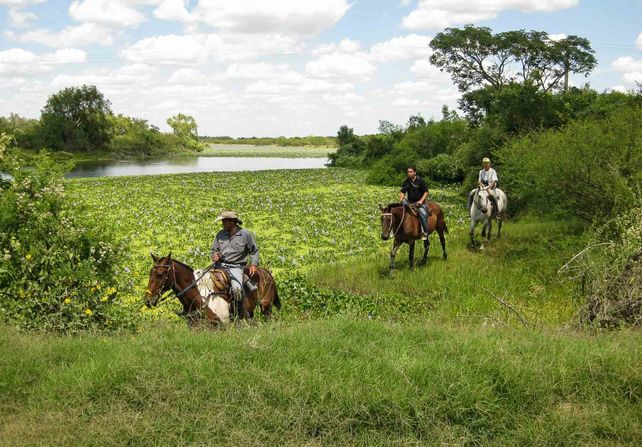 Un complejo turístico es la puerta de entrada a Jaaukanigás, el paraíso ecológico de Santa Fe