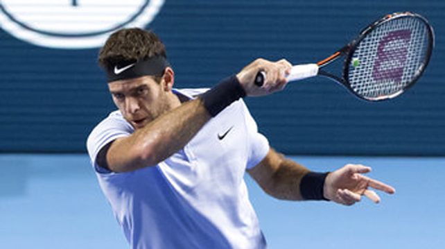 Delpo no pudo cotra el inagotable Federer, campeón en Basilea