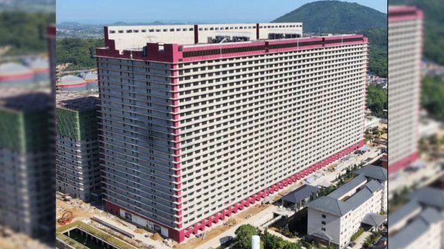 China: así son las granjas verticales para criar cerdos