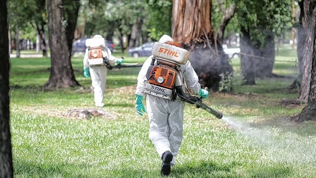Trabajos de fumigación en la ciudad de Santa Fe