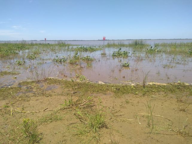 As&iacute; est&aacute; la orilla de la playa.