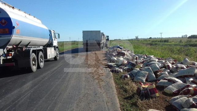 Un camión perdió la carga de alimentos balanceados y obstruyó la ruta provincial 17