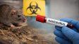 Entre Ríos registra nuevo caso de hantavirus en una región en brote