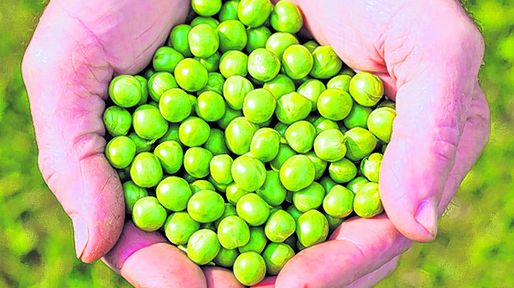 Los productos regionales de Santa Fe llegan a 94 países