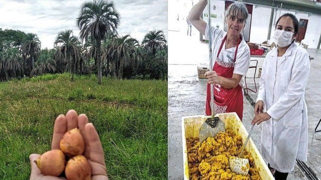 En la zona de Concordia hay un grupo de emprendedores que trabajan en red para que se conozca el yatay.