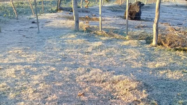 Martes con temperaturas bajo cero