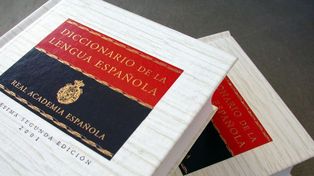 Para evitar confusiones, la Real Academia Española retiró la entrada elle de su Observatorio