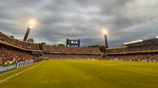 Central pone a la venta las viejas luminarias del Gigante: cómo conseguirlas