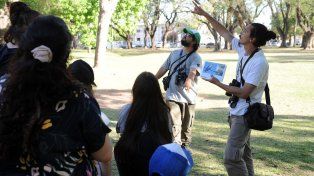 Este viernes habrá Safari de verano