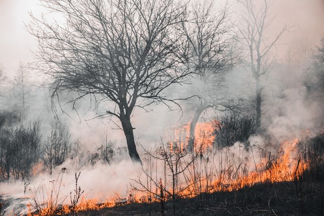 El incremento de los incendios forestales estaría relacionado con el aumento del calor atrapado en la Tierra.&nbsp;