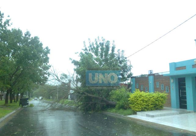 Terrible temporal de lluvia y viento generó graves destrozos en Paraná