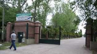 Zoofilia en el Próvolo: denunciaron que un detenido tenía sexo con perros