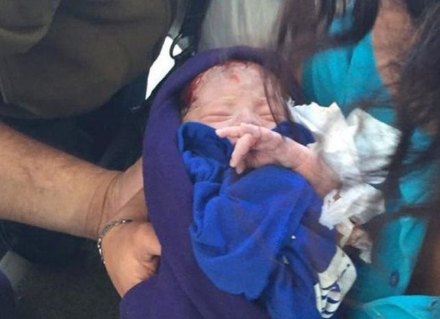 Si no se presenta un pariente, Faustina estará con una nueva familia