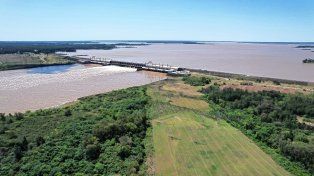 Esperan que el río tenga un pico de 9,5 metros en el puerto de Concordia para los próximos días.