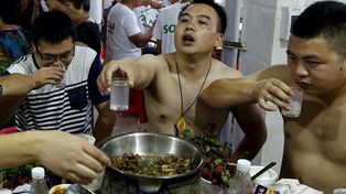 Lanzan campaña contra un festival donde sacrifican perros y comen su carne