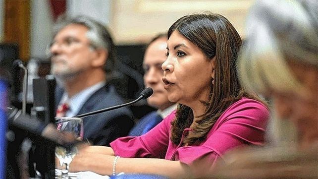 En el debate del Senado por el acuerdo con el FMI la senadora Sandra Mendoza del FDT dijo espada de domacle